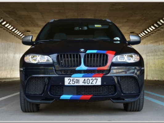 [시승기] 네발 달린 동물들의 제왕, 라이온 킹 X6 M50d