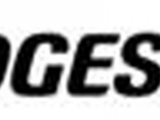 브리지스톤, 중국 기업에 디자인 특허 침해 소송 승소