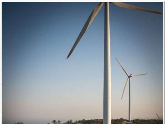 한번 주유로 1천㎞는 거뜬. 친환경차 캠리 하이브리드의 놀라운 성능