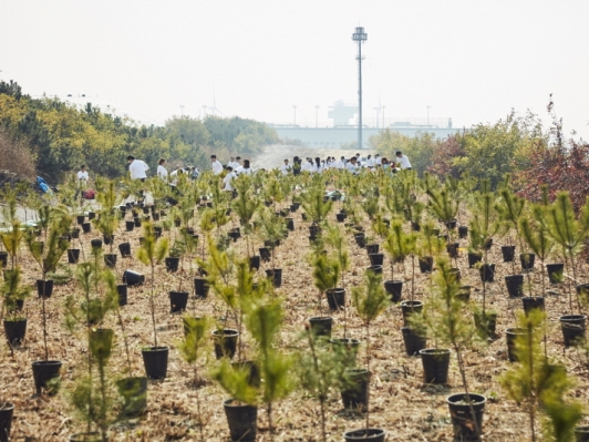 현대자동차, ‘아이오닉 포레스트 나무 심기 행사’ 성료