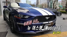 [카리포트TV] 6세대 F/L, 뉴 머스탱(Mustang) 출시 현장영상